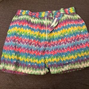 Mens size large chubbie brand shorts